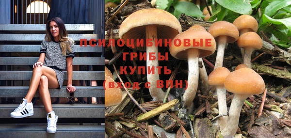 прущая мука Новодвинск