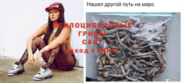 крисы Нефтегорск