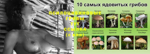 скорость Нефтекумск