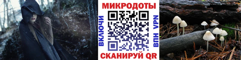 Псилоцибиновые грибы прущие грибы Балахна