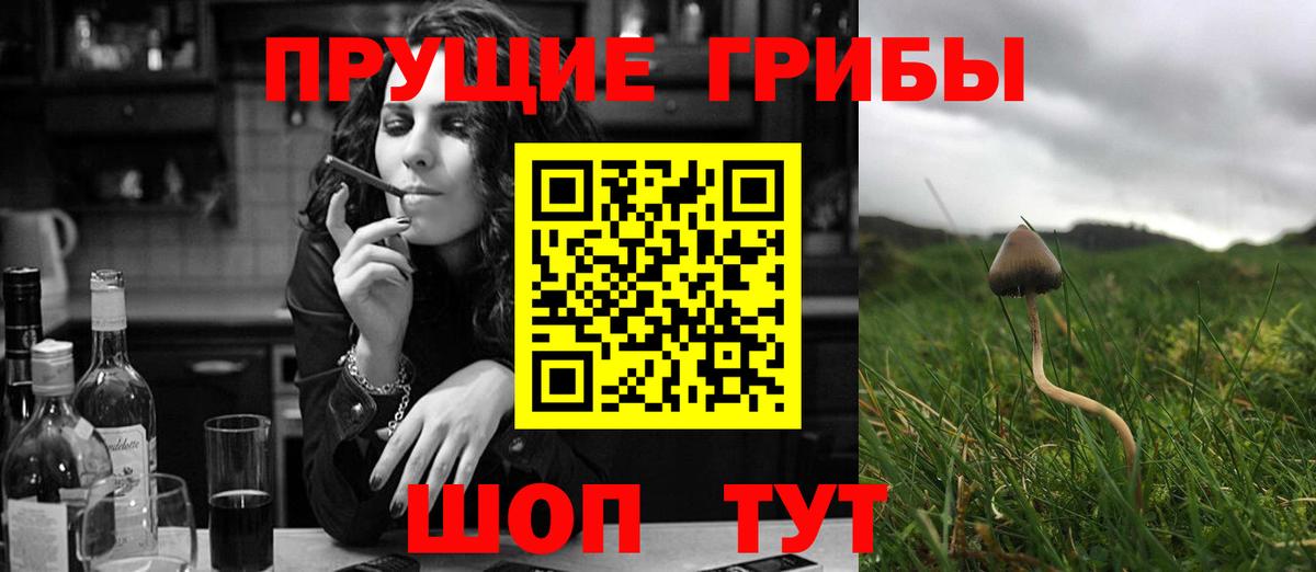 Галлюциногенные грибы мухоморы  Вход с VPN  Балахна  где купить наркотик  Галлюциногенные грибы мицелий 