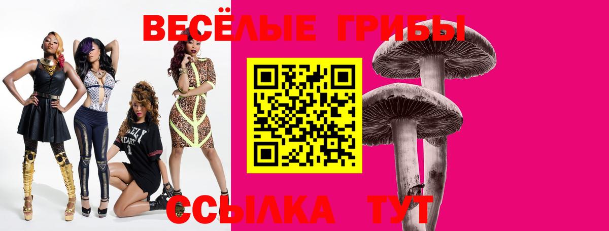 Галлюциногенные грибы GOLDEN TEACHER Балахна