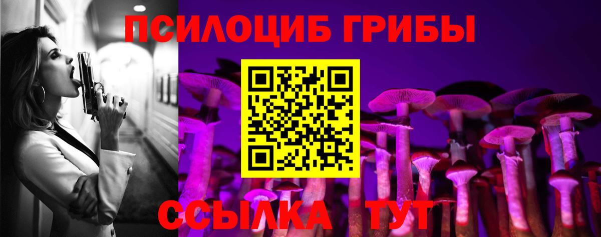 Псилоцибиновые грибы мицелий  Балахна 